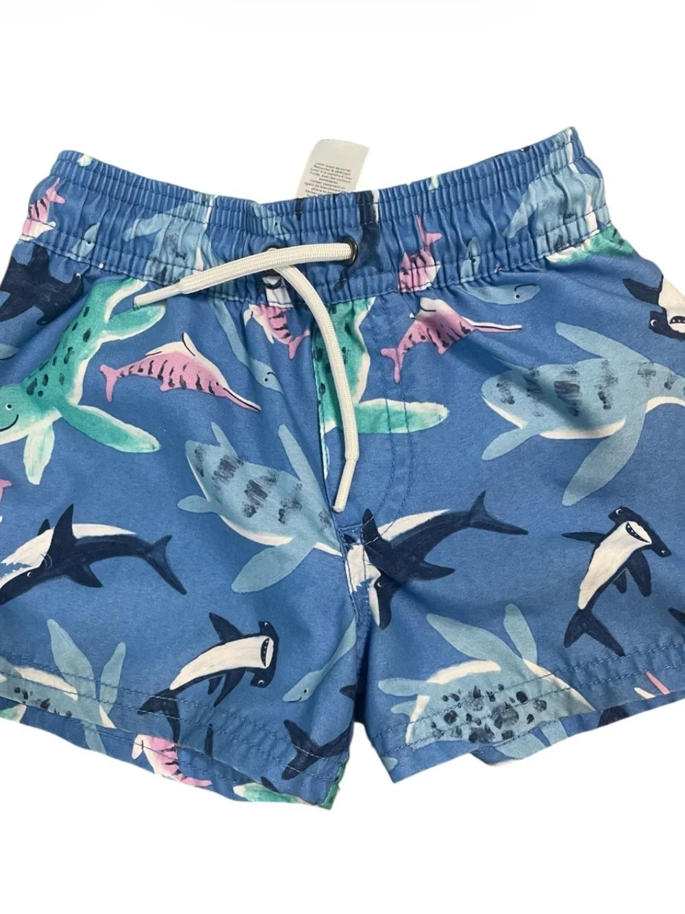 Carter's Light Blue Shark Rash Guard & Swim Shorts Set
